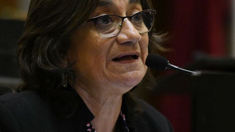 Corpacci por la renovación: negó conformar una posible fórmula presidencial