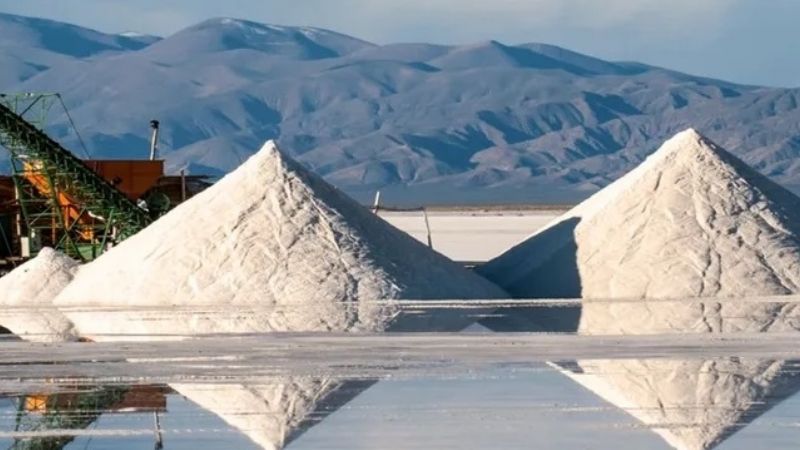 La industrialización del litio llegó al Senado