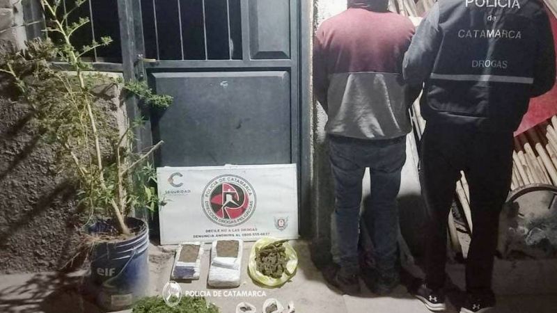 Secuestraron marihuana y detuvieron a cinco personas
