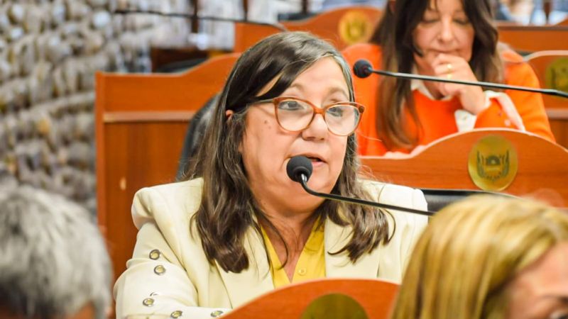 Gestantes que sufrieron por la muerte perinatal tendrán contención por ley