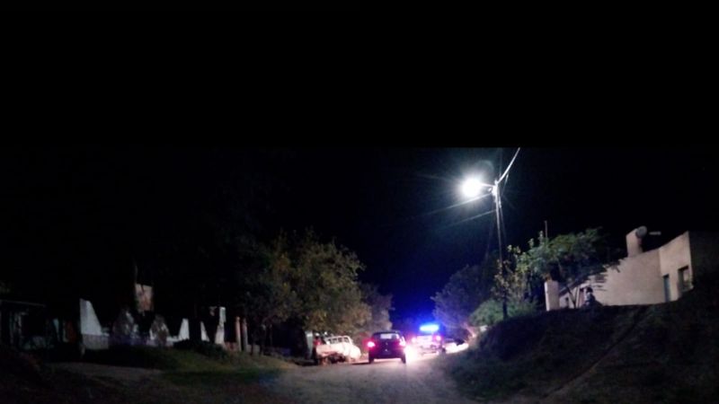 Preocupa matanza de perros