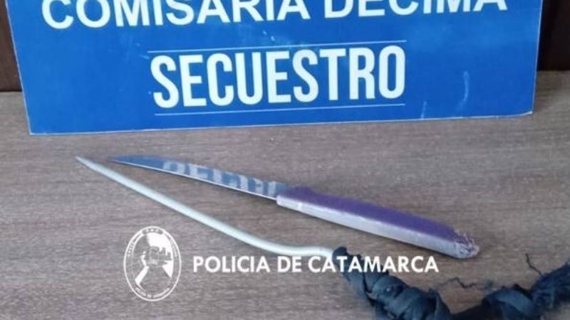 Intentó agredir a policías
