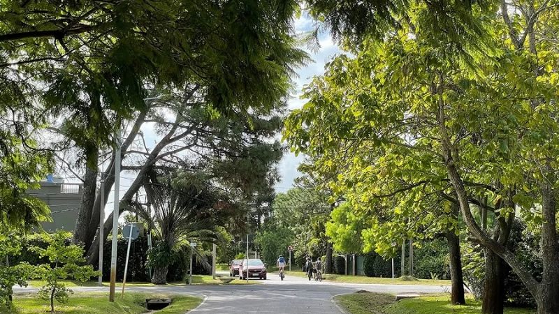 Bielsa ocupará un complejo exclusivo, de vanguardia