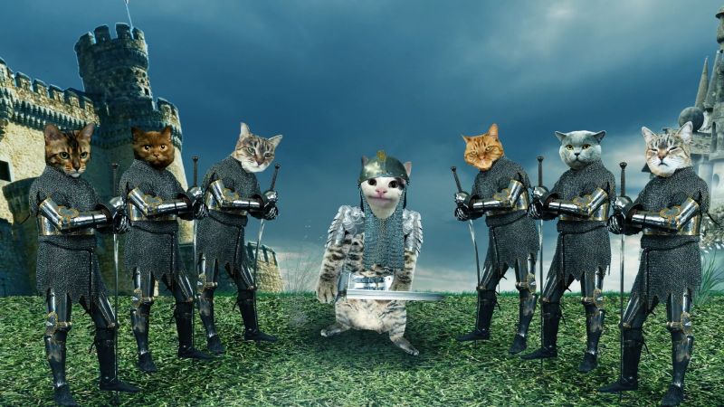 Gatipedia, una innovadora serie educativa para estudiantes de América Latina