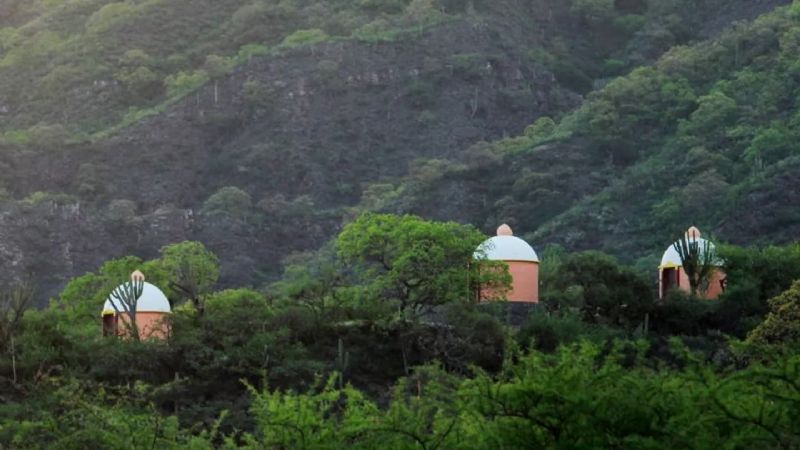 El "Maestro Amor" en libertad condicional
