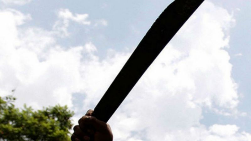 Vecina se defiende del delincuente con un machete