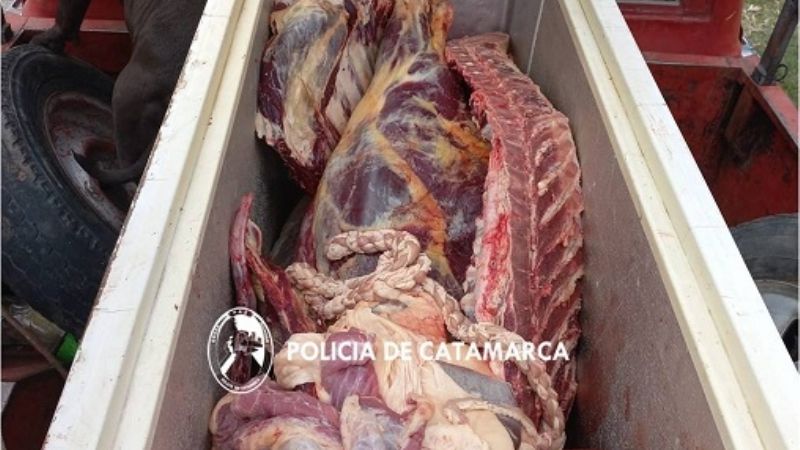 Llevaba en la camioneta un animal faenado clandestinamente