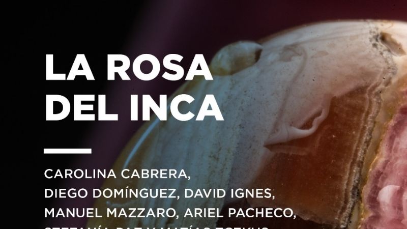 Ginocchio presenta La Rosa del Inca en Diputados