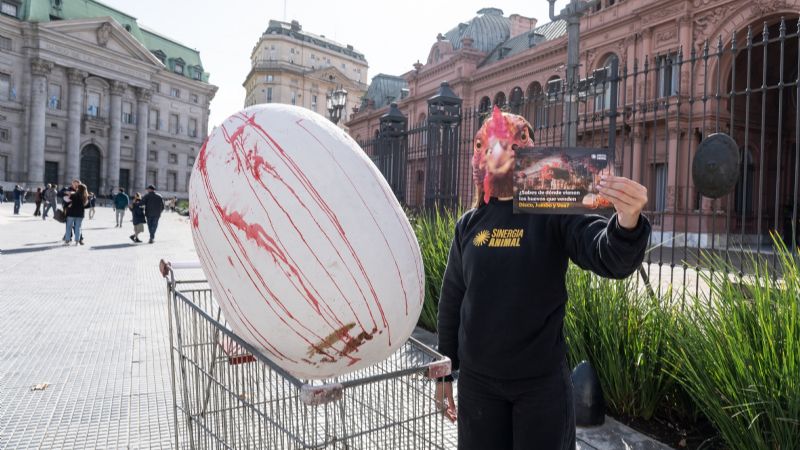 Protesta con un carrito de supermercado y un huevo ensangrentado
