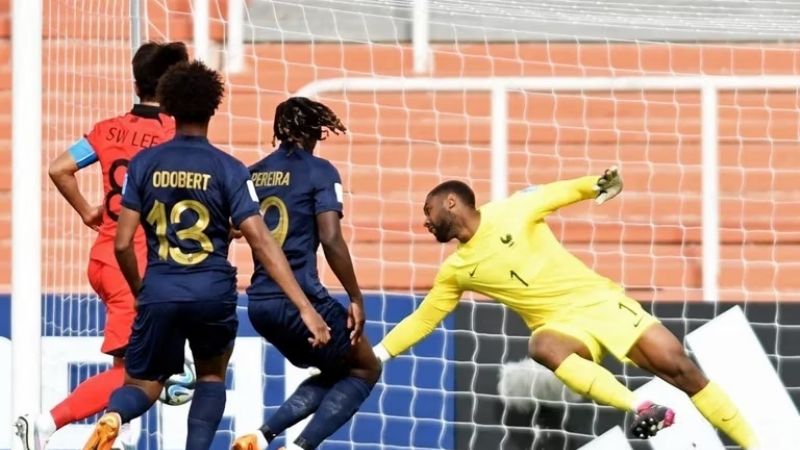 Goleó Uruguay, ganó Inglaterra y perdió Francia