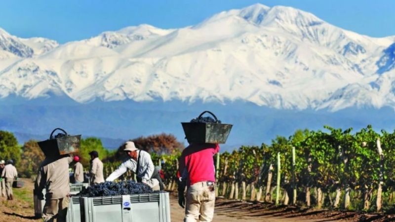 60 cadenas de Economías regionales fueron incluidas en el Dólar Agro