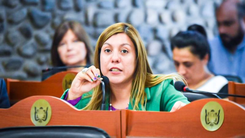 Diputados aprobó proyectos de cuidado de salud mental y la creación de programas de prevención
