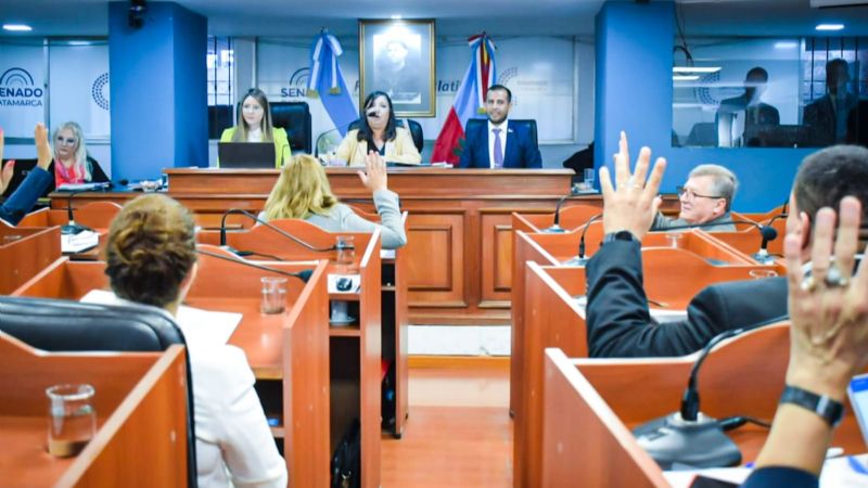 Diputados aprobó proyectos de cuidado de salud mental y la creación de programas de prevención