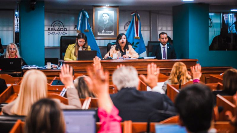 Diputados aprobó proyectos de cuidado de salud mental y la creación de programas de prevención