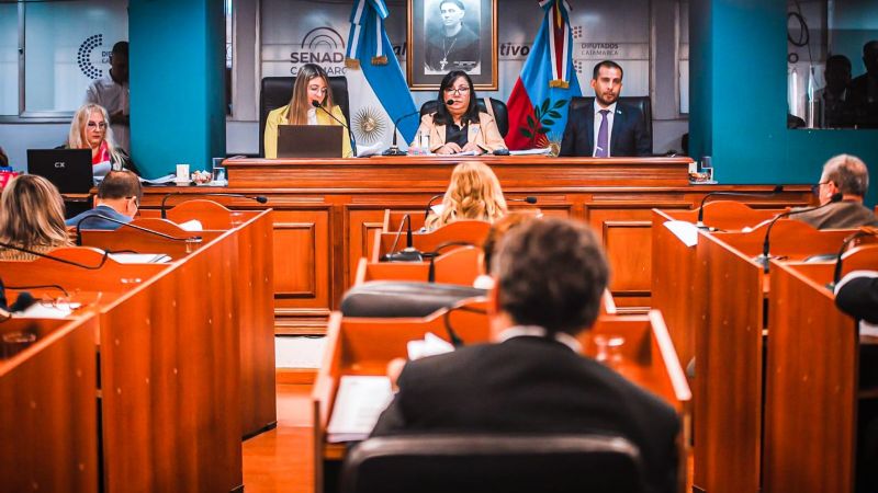 Diputados aprobó proyectos de cuidado de salud mental y la creación de programas de prevención