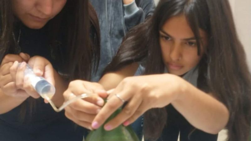 Proyecto educativo promueve la producción de aceite de oliva tradicional en escuela rural