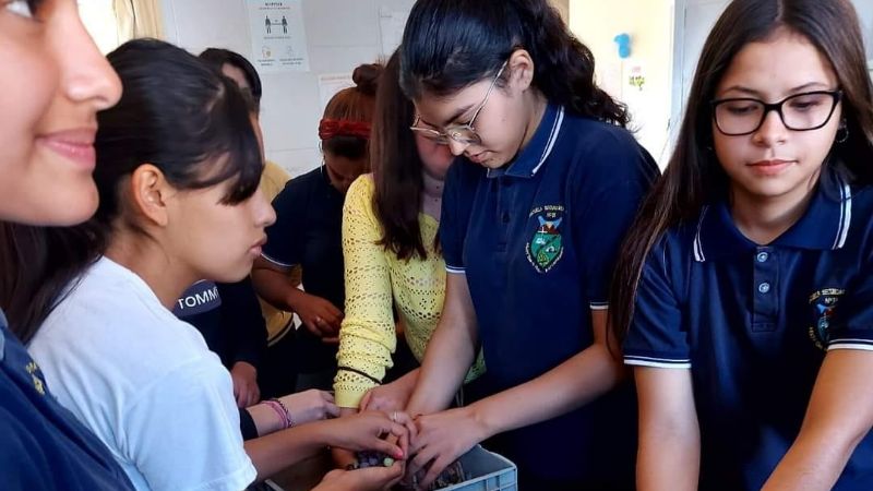 Proyecto educativo promueve la producción de aceite de oliva tradicional en escuela rural