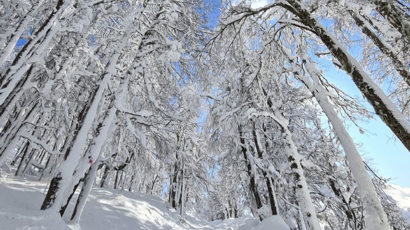 Bariloche se viste de blanco: cayó la primera nevada del  año en la ciudad