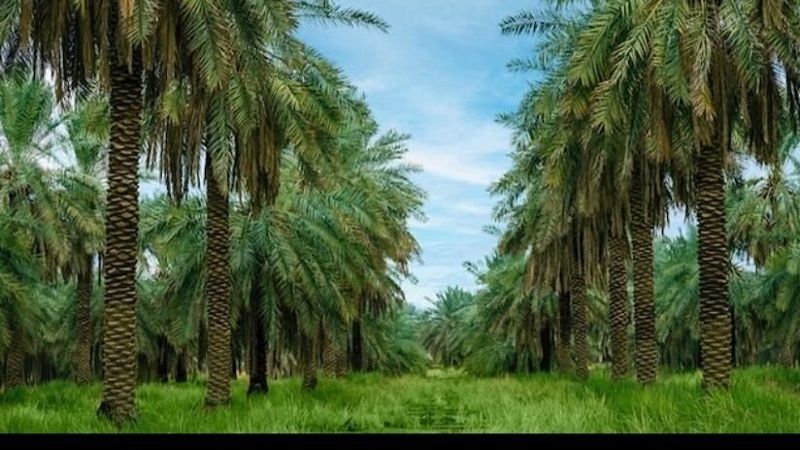 Messi - PSG, ¿rumbo a la ruptura final?