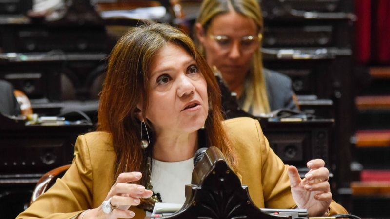 Ginocchio presenta un proyecto de ley sobre el Trastorno de Déficit de Atención e Hiperactividad