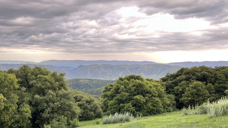 Conversatorio sobre el Día Mundial del Ambiente
