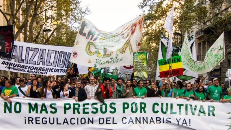 Hoy se realiza la marcha mundial de la marihuana