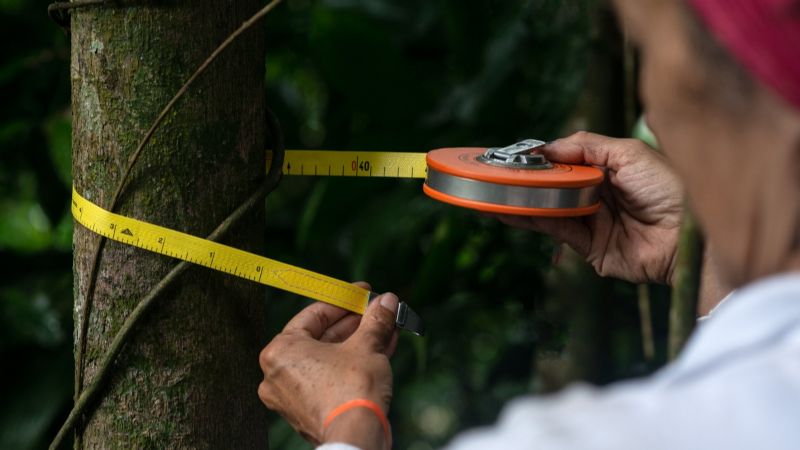 Bonos de carbono: el 50% de los productores locales no tiene conocimiento alguno del tema