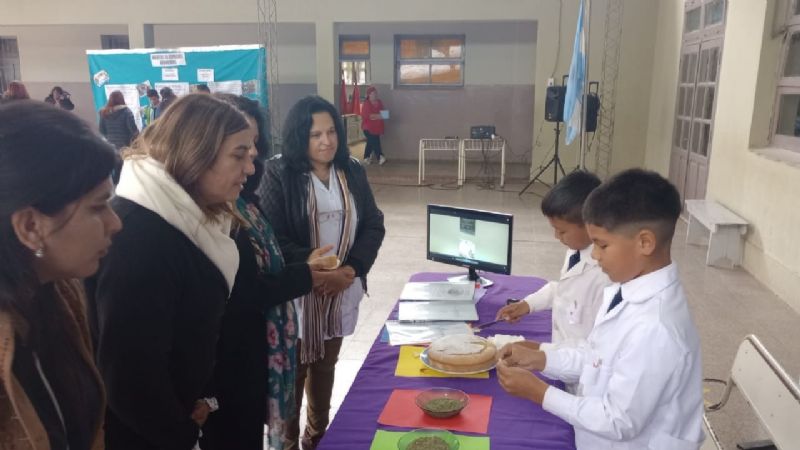 Instancia departamental de Feria de Ciencias en El Alto