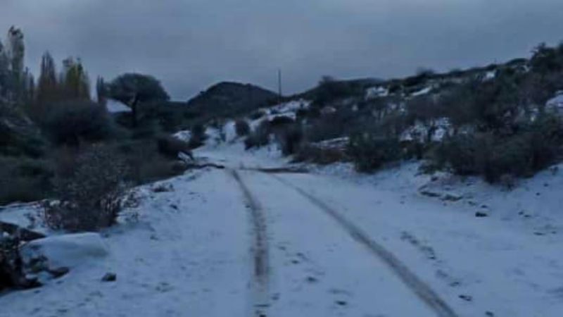 Don Juan Isidro Araya, “el baqueano”