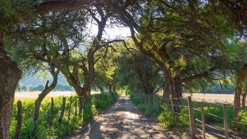Amenazó de muerte a una mujer con un rifle
