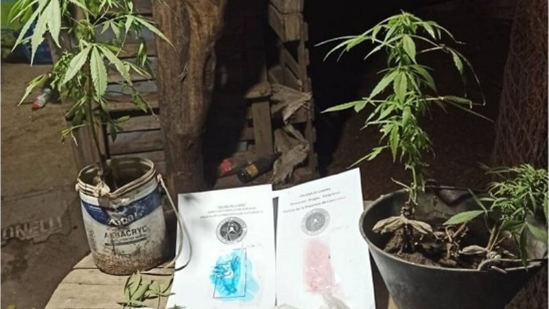 Policías secuestraron droga en diferentes procedimientos