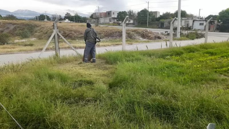 Mejoras en infraestructura educativa: realizan trabajos de refacción y limpieza