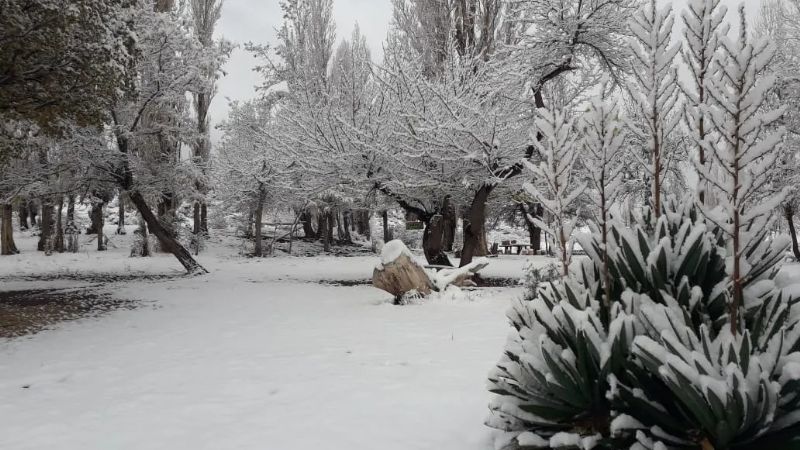 Pronostican nevadas para la zona cordillerana