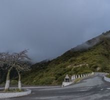 Alerta vial: hay rutas con restricciones por lluvias, neblina y derrumbes