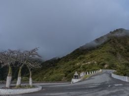 Alerta vial: hay rutas con restricciones por lluvias, neblina y derrumbes