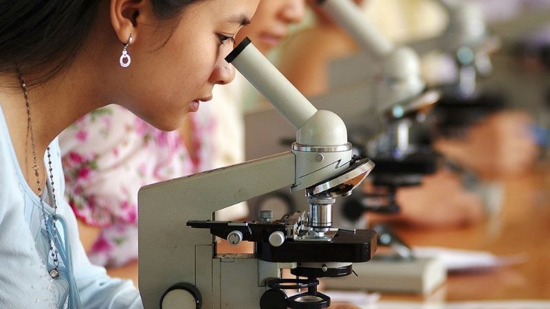 "Clubes de Ciencia": 2° Encuentro Provincial