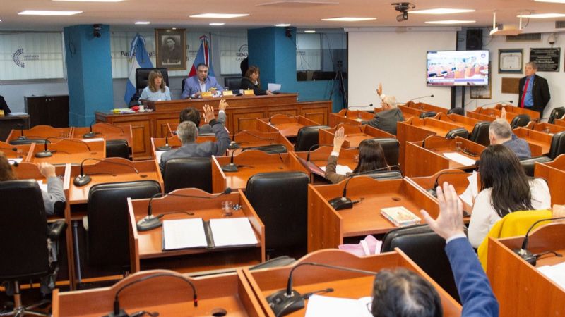 Séptima sesión ordinaria del Senado