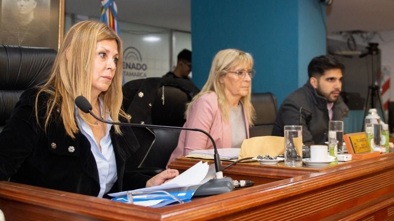 Audiencia Pública para postulantes al cargo de Defensor/a de Niños, Niñas y Adolescentes