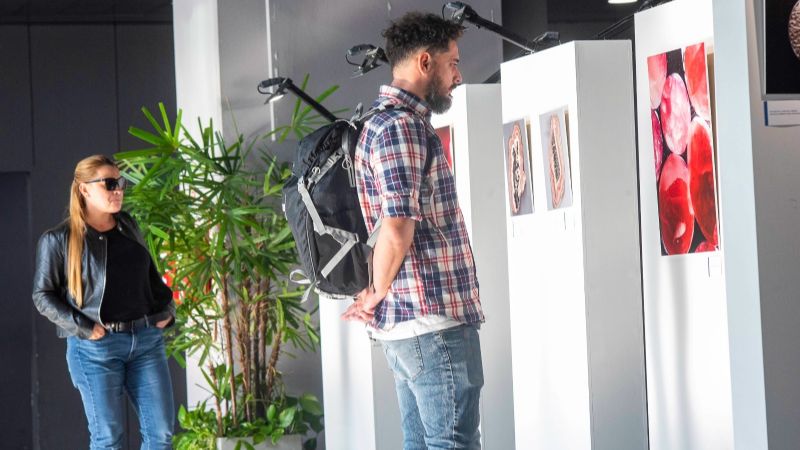 Diputados: Ginocchio cerró la muestra fotográfica “La Rosa del Inca” y presentó dos proyectos