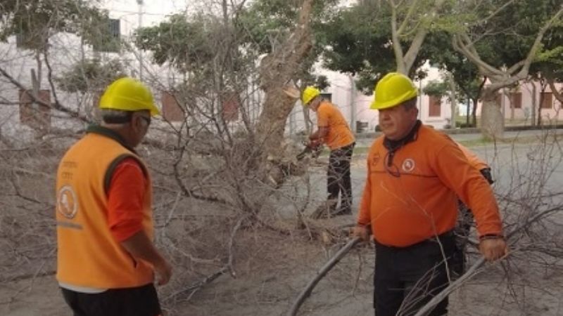 Defensa Civil realizó poda de árboles en la UNCA