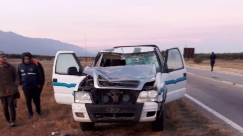 Vehículo oficial chocó contra un caballo