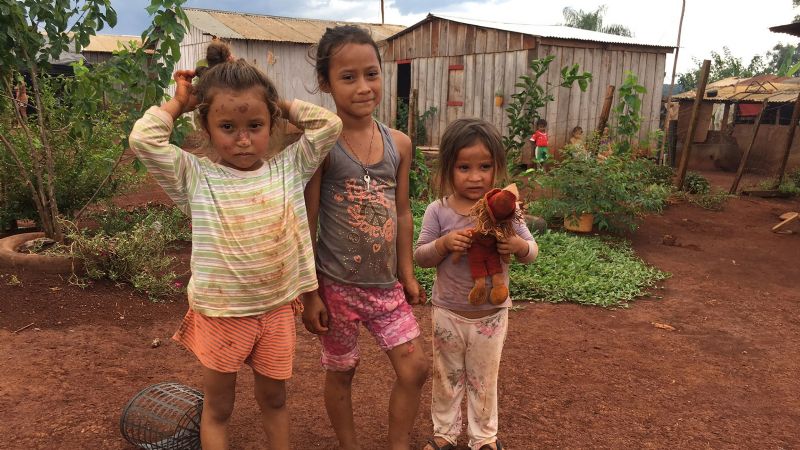 ¿Sabías que el Mate, nuestra bebida nacional, contiene trabajo infantil, pobreza e inequidad?