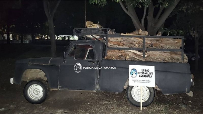 Secuestran más de una tonelada de leña