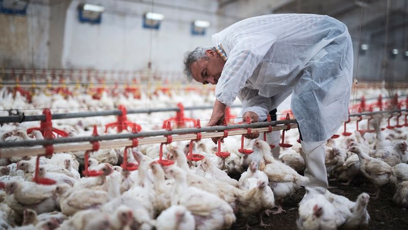 Declaran estado de emergencia agropecuaria en Jujuy, Neuquén y Salta