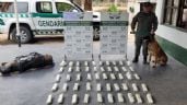 Extraen más de 28 kilos de cocaína del tanque de combustible de una camioneta