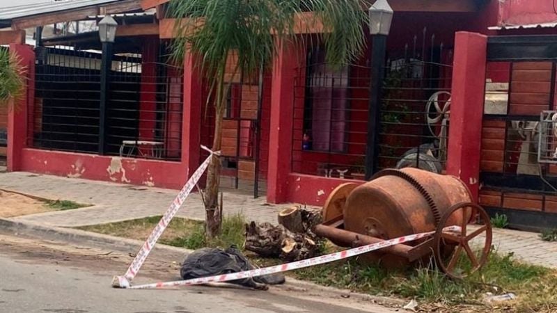 En Córdoba, murió adolescente mordida por perros dogos