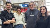 Diabetes: científicos de la UNQ brindan nuevas pistas sobre la producción de insulina