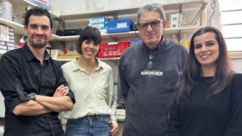 Diabetes: científicos de la UNQ brindan nuevas pistas sobre la producción de insulina