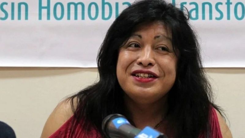 Homenaje de Google a la activista argentina trans Diana Sacayán