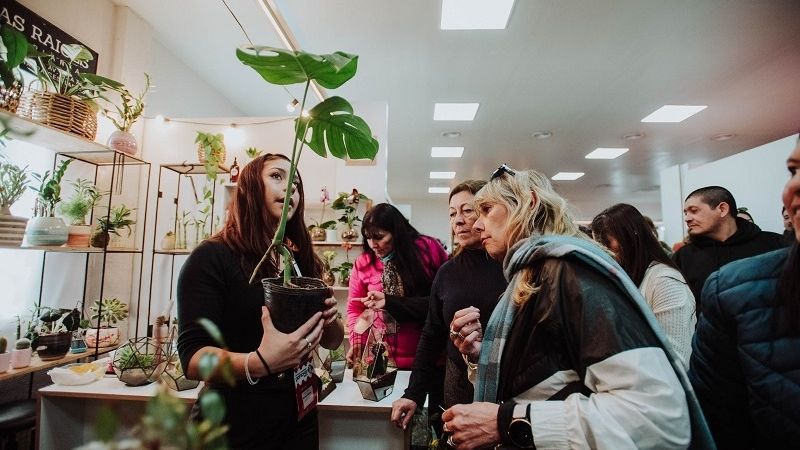 Poncho Diseño, el pabellón para renovar la decoración del hogar